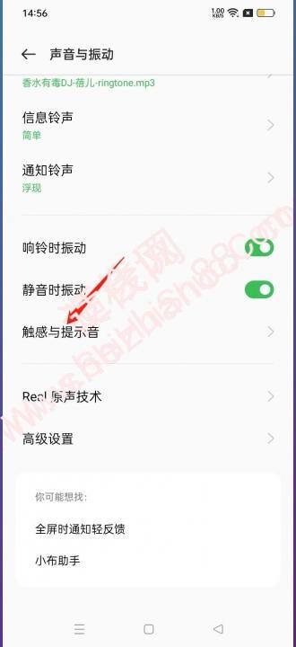 oppo按键音怎么设置无声-图2