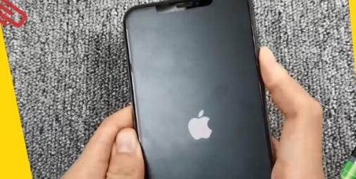 iphone14死机了咋办 苹果14死机重启方法-图4