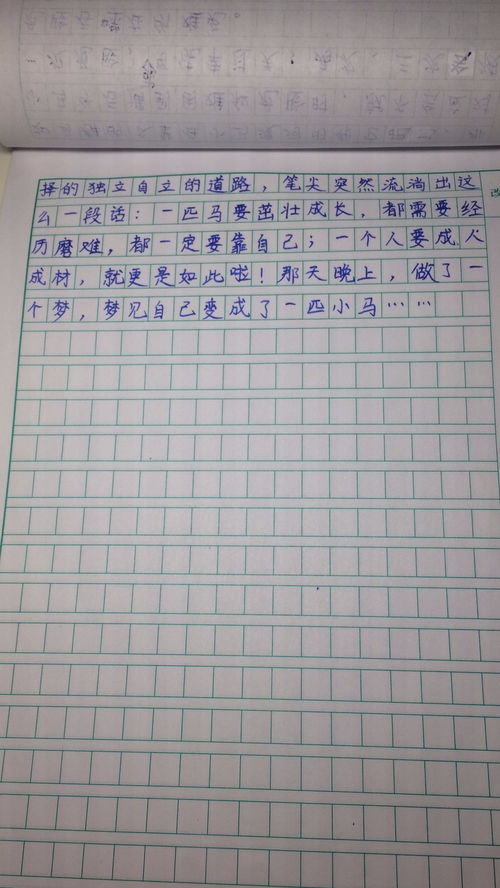 开学了作文300字(通用6篇)