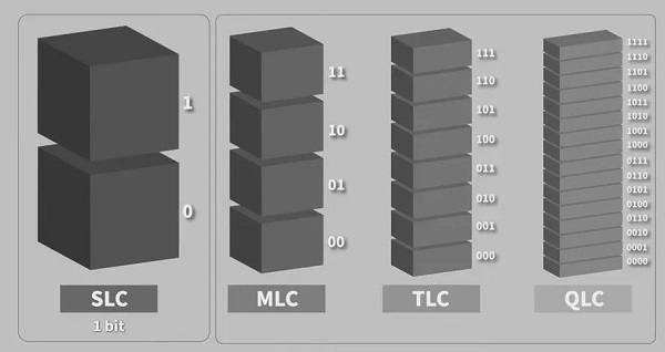 qlc颗粒和tlc颗粒区别-图3