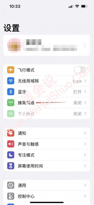 苹果13怎么显示5g-图1