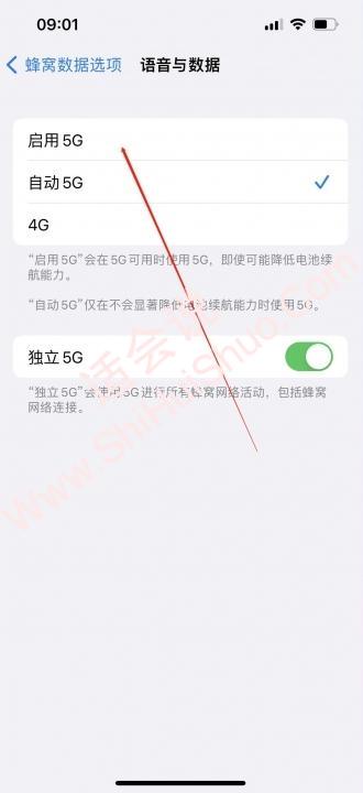 苹果13怎么显示5g-图4