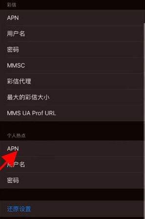 苹果手机怎么设置apn网络快-图4