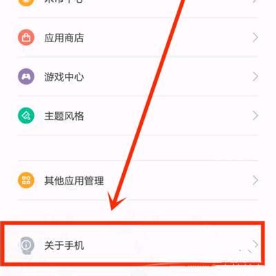 黑鲨5 RS怎么打开开发者模式-图1