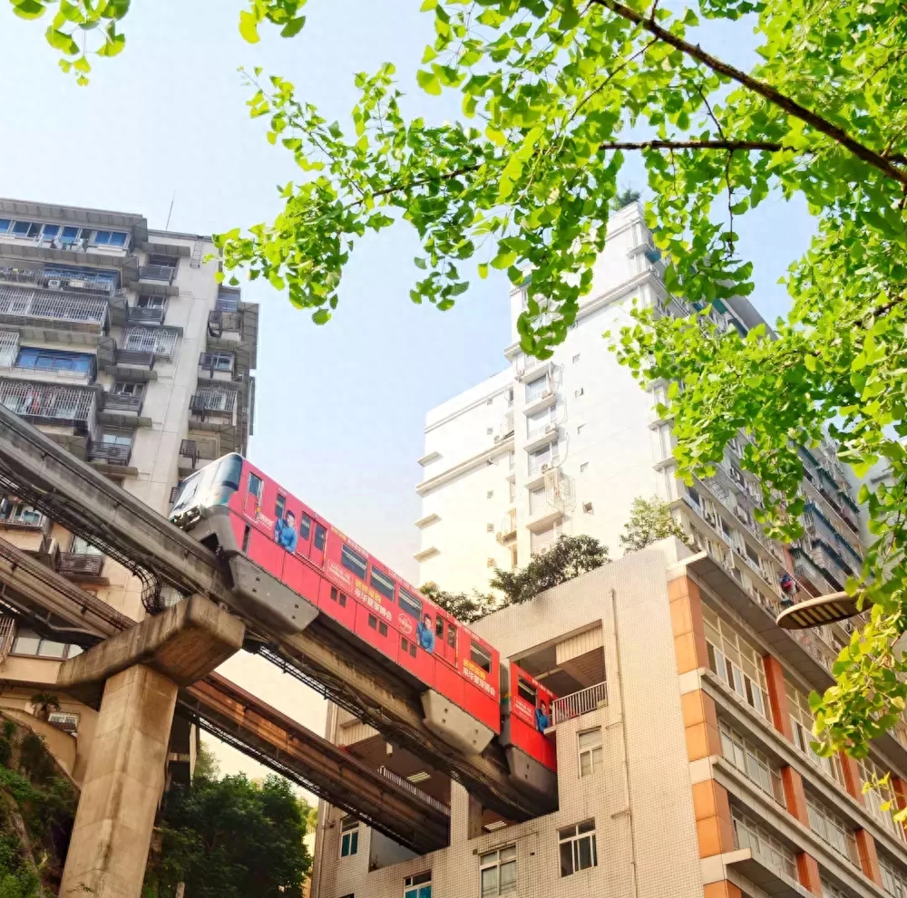 重庆景点_深圳旅游景点重庆_旅游景点重庆