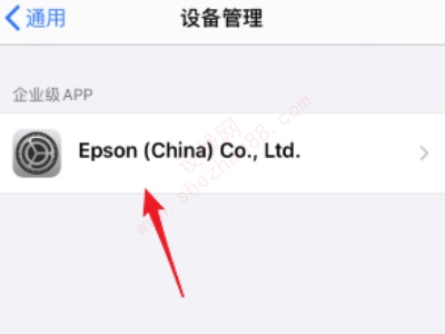 ios14.6设备管理信任不见了-图3