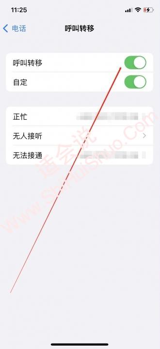 iphone按免提弹出ipad选项-图4