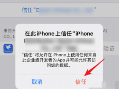 ios14.6设备管理信任不见了-图5