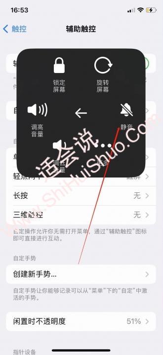 iphone怎么关静音-图7