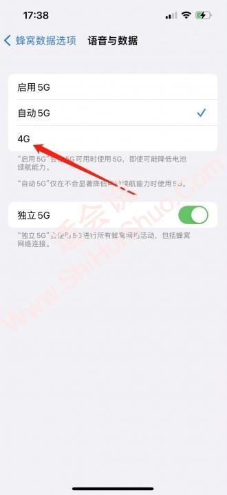 苹果5g怎么切换4g-图4