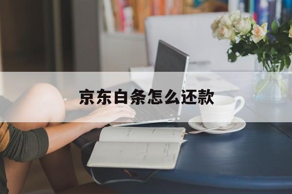 京东白条怎么还款(京东白条怎么还款可以用微信支付吗)