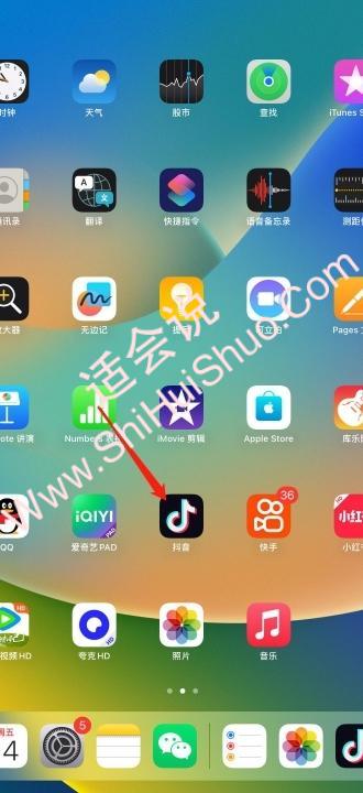 ipad抖音自动播放下一条怎么设置-图1