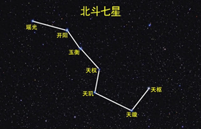 七星_七星彩_七星瓢虫