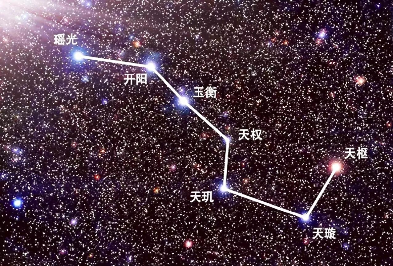 七星瓢虫_七星是哪七星_七星