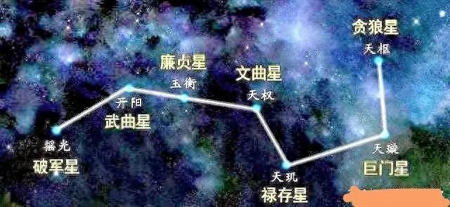 七星_七星瓢虫_七星是哪七星