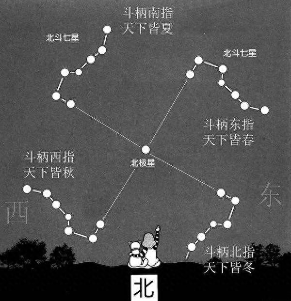 七星_七星瓢虫_七星彩