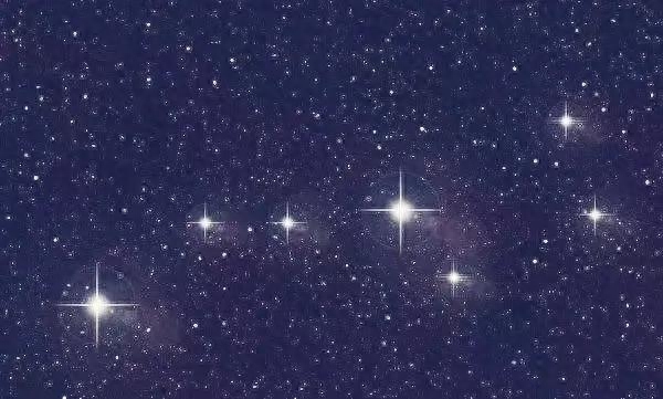 七星瓢虫_七星_七星是哪七星