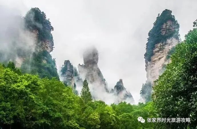 凤凰古城天气_古城凤凰天气预报查询_凤凰天气古城天气