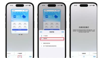 ios17无痕浏览功能怎么用-图2