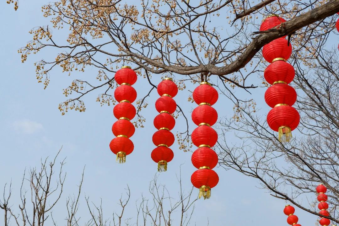 清明上河园位置_清明上河园_2020年清明上河园恢复开园