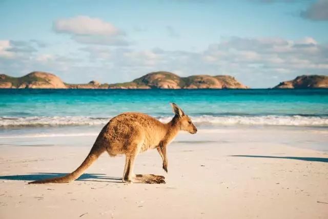 途牛旅游网攻略_途牛旅游网官方网站_途牛旅游网