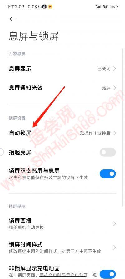 手机亮屏设置在哪里-图11