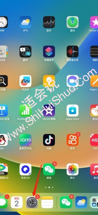 ipad麦克风设置在哪-图1