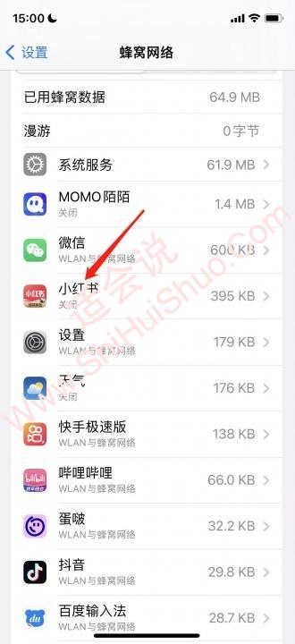 iphone怎么设置app网络权限-图2