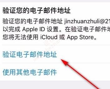 苹果手机电子邮件地址怎么填-图3