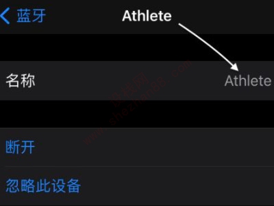 苹果蓝牙改名称怎么改-图3
