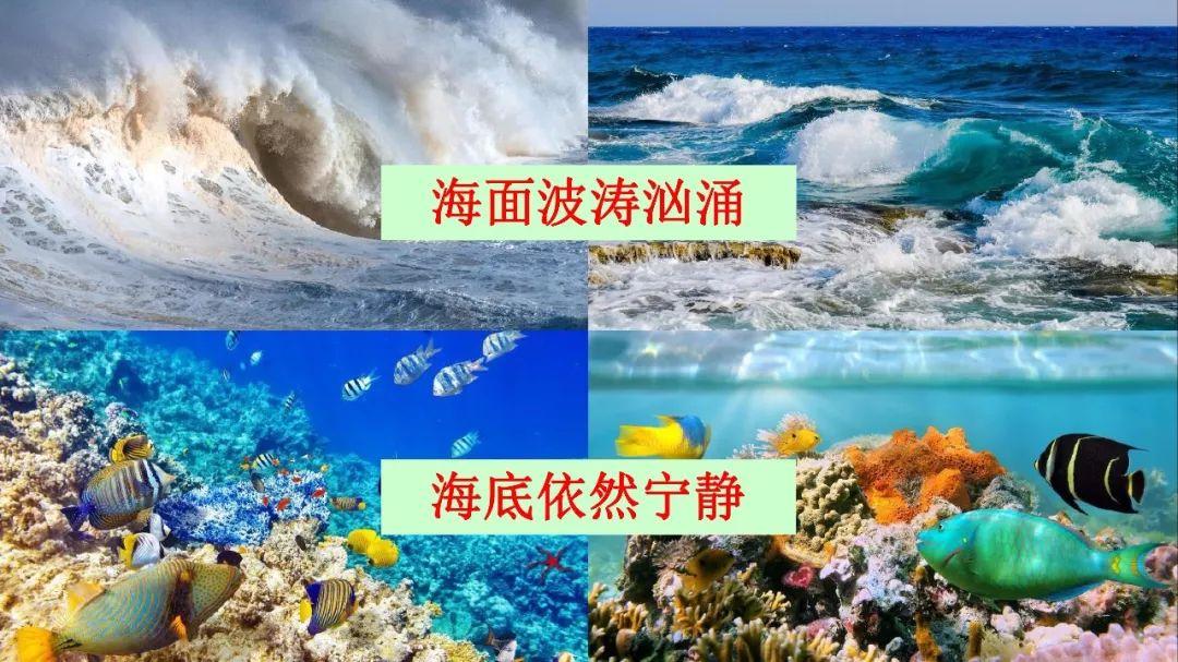 海底海底世界_海底世界_最新海底世界