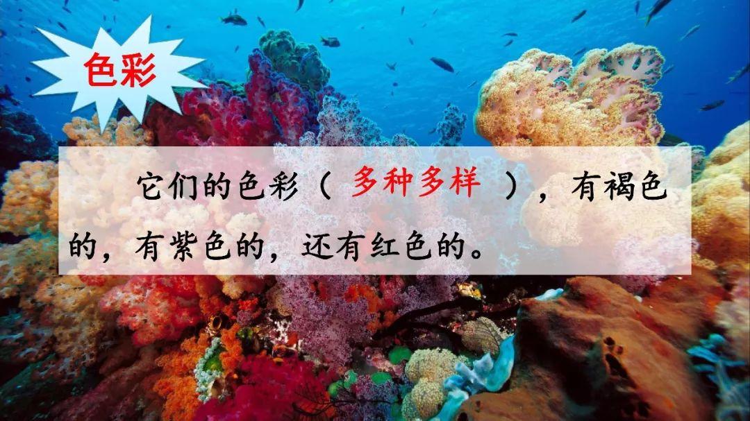 海底海底世界_最新海底世界_海底世界