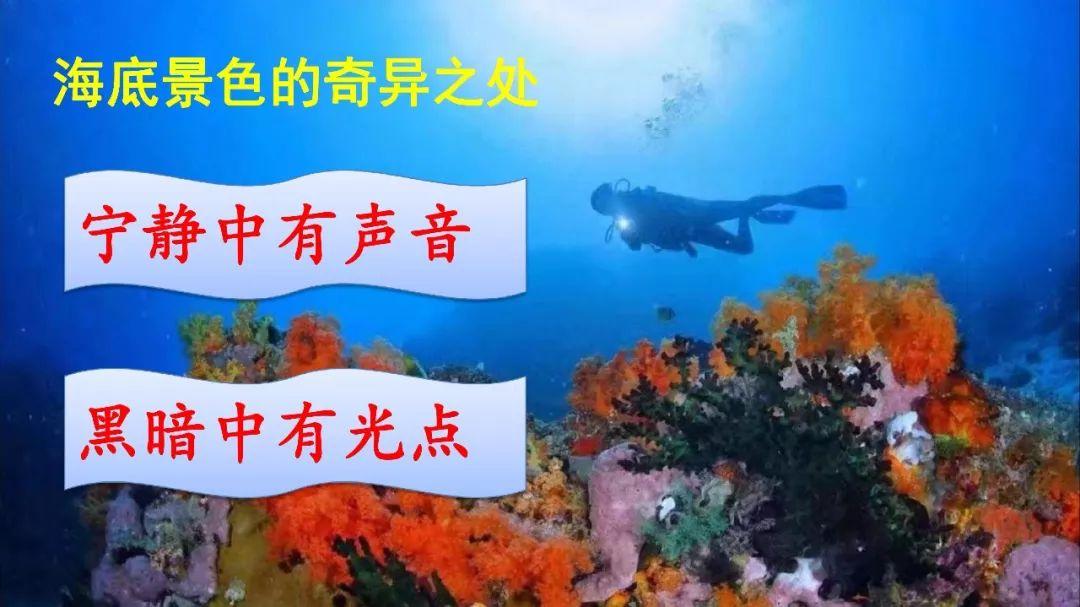 海底海底世界_海底世界_最新海底世界