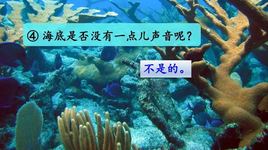 最新海底世界_海底海底世界_海底世界