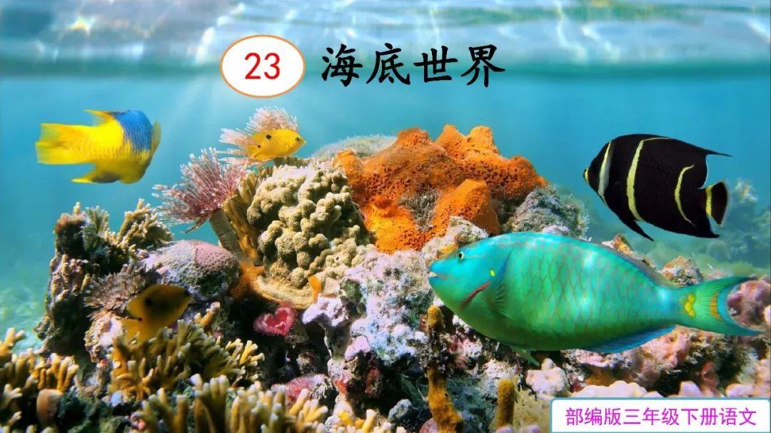 海底海底世界_最新海底世界_海底世界