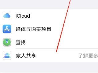 苹果家人共享怎么设置-图3