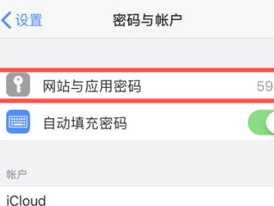 苹果储存密码在哪里查看-图3