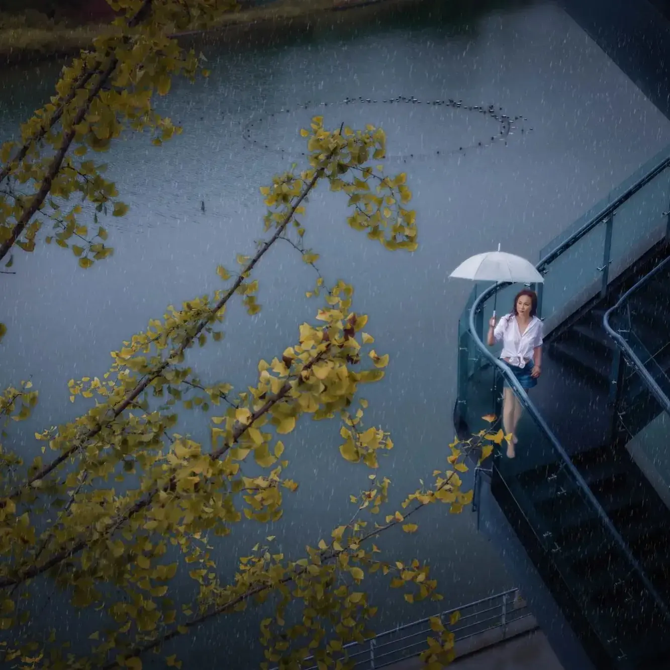 天气明天几点下雨_明天的天气_天气明天有雾吗