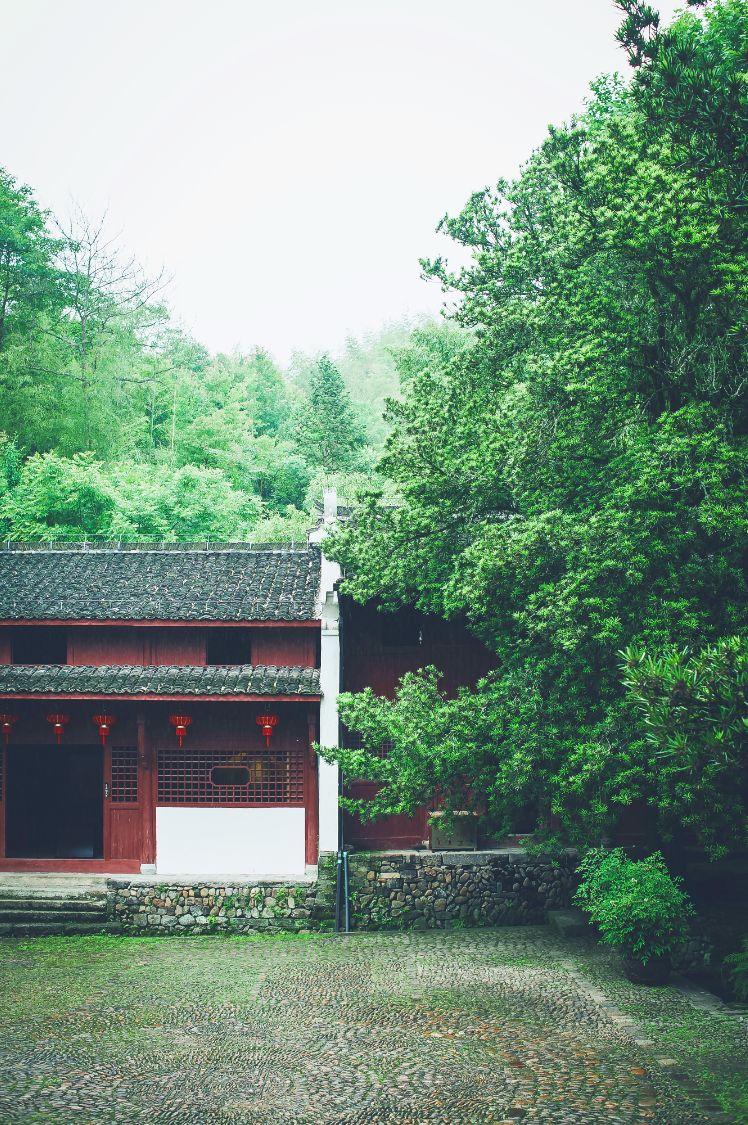 法喜寺_法喜寺_法喜寺