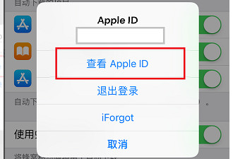 苹果12app store英文改中文-图3