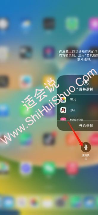 ipad录屏怎么只录内部声音-图5