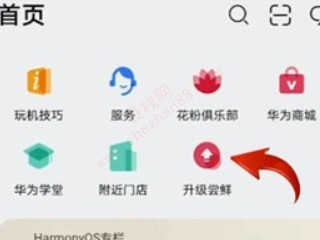 华为mate30pro怎样升级鸿蒙系统-图2