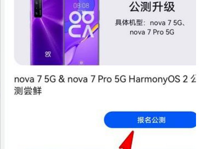 华为nova7怎么升级鸿蒙系统-图5