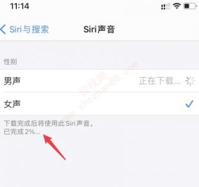 怎么给siri换语音包-图5