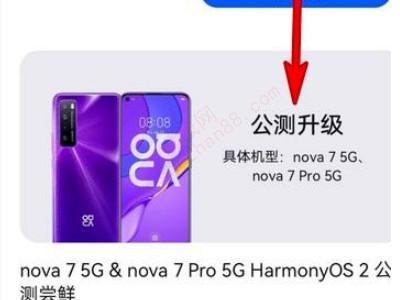 华为nova7怎么升级鸿蒙系统-图4