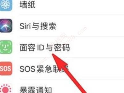 iphone12戴口罩如何解锁-图5