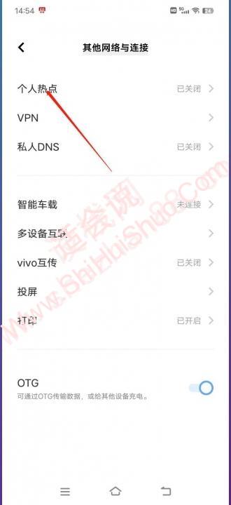 vivo手机个人热点在哪里打开-图2