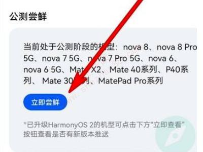 华为nova7怎么升级鸿蒙系统-图3