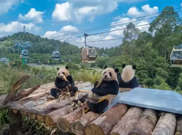 欢乐长隆世界的地图_长隆欢乐世界_欢乐长隆世界作文怎么写