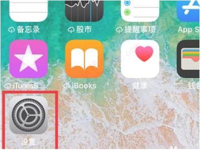 iphone12没有关闭5g的选项-图1